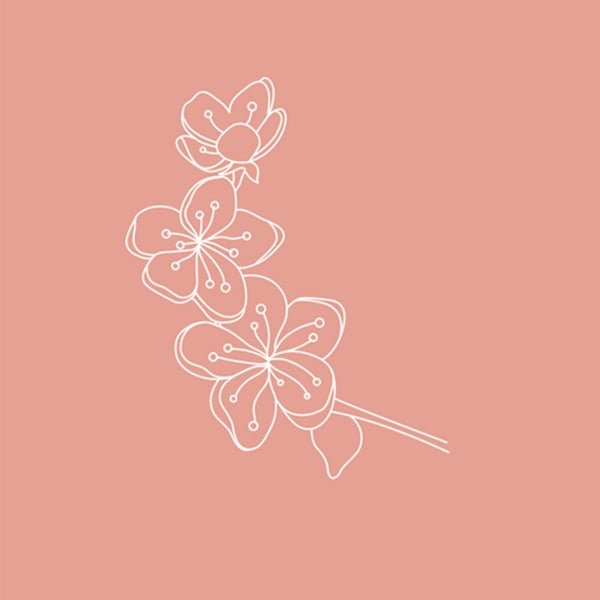 illustration fleur de naissance