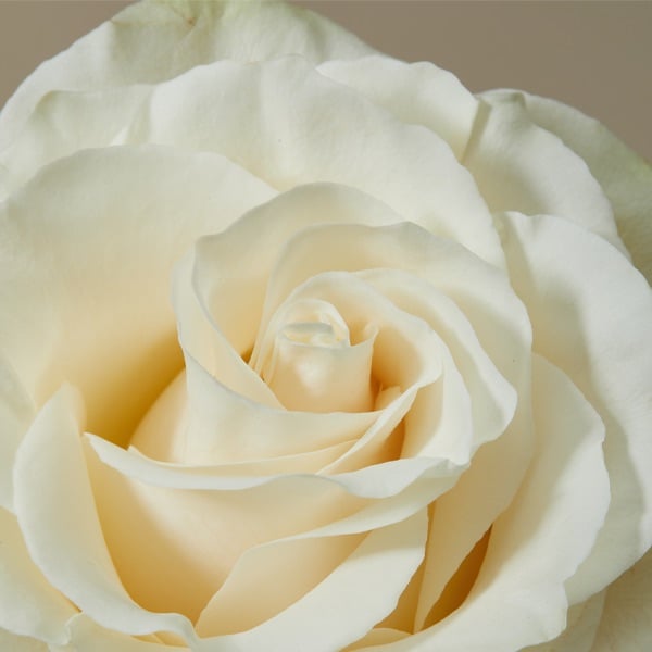 10 Ideen für personalisierten Schmuck zur Sommerhochzeit