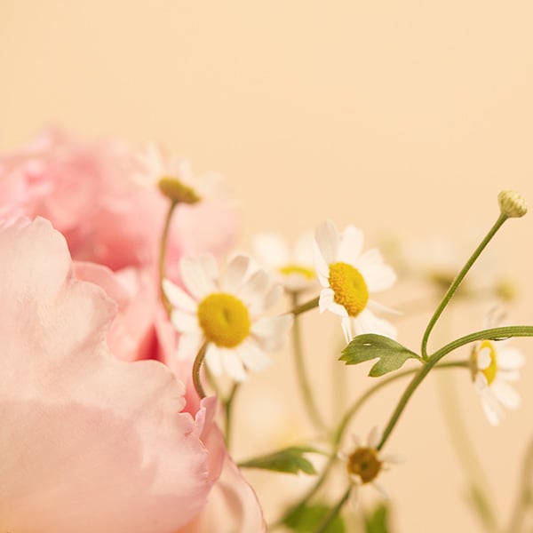 National Flower Day 2022: A Guide to Birth Flower Jewellery