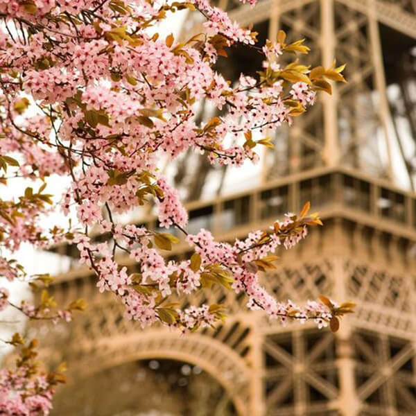 Verano en la ciudad: París