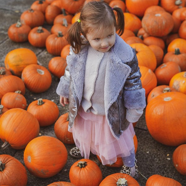 Top Tips For Recycling & Reusing Your Halloween Pumpkin