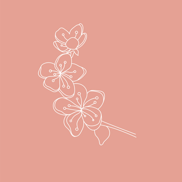 illustration fleur de naissance