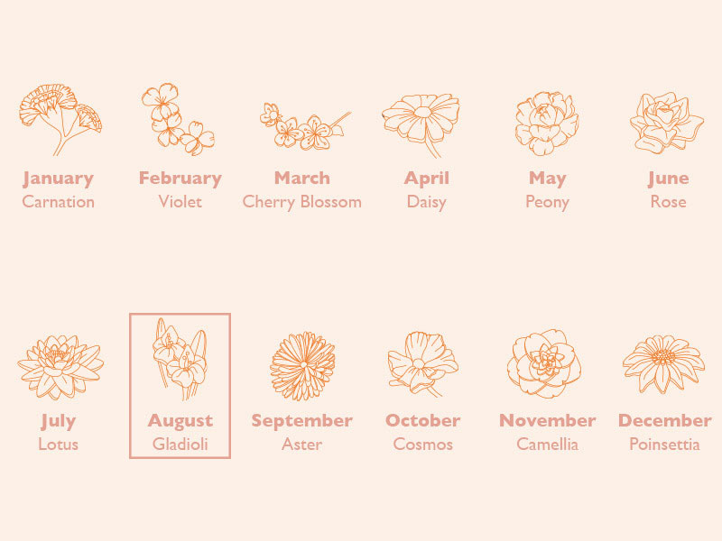 Birth Flower Chart: Gladioli