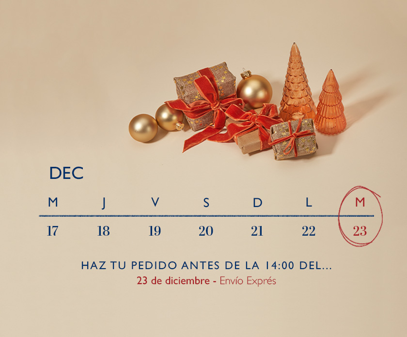 Recíbelo a tiempo para Navidad